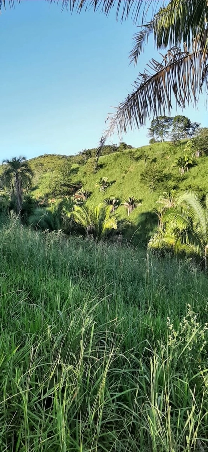 Fazenda/Sítios/Chácaras de 10160000m² no bairro Padre Bernardo, em Padre Bernardo | Eu Corretor