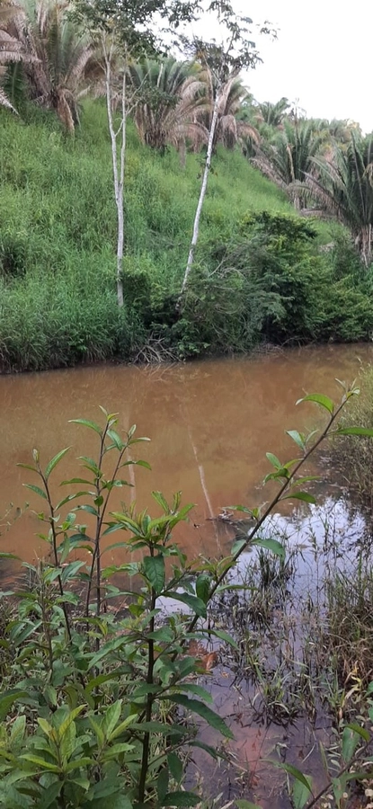 Fazenda/Sítios/Chácaras de 10160000m² no bairro Padre Bernardo, em Padre Bernardo | Eu Corretor