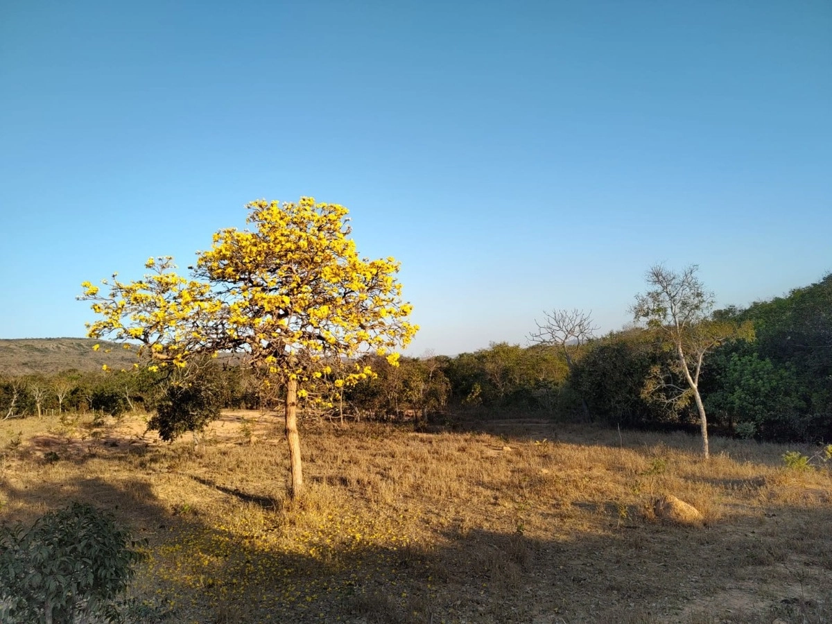 image_re_6770964.jpg