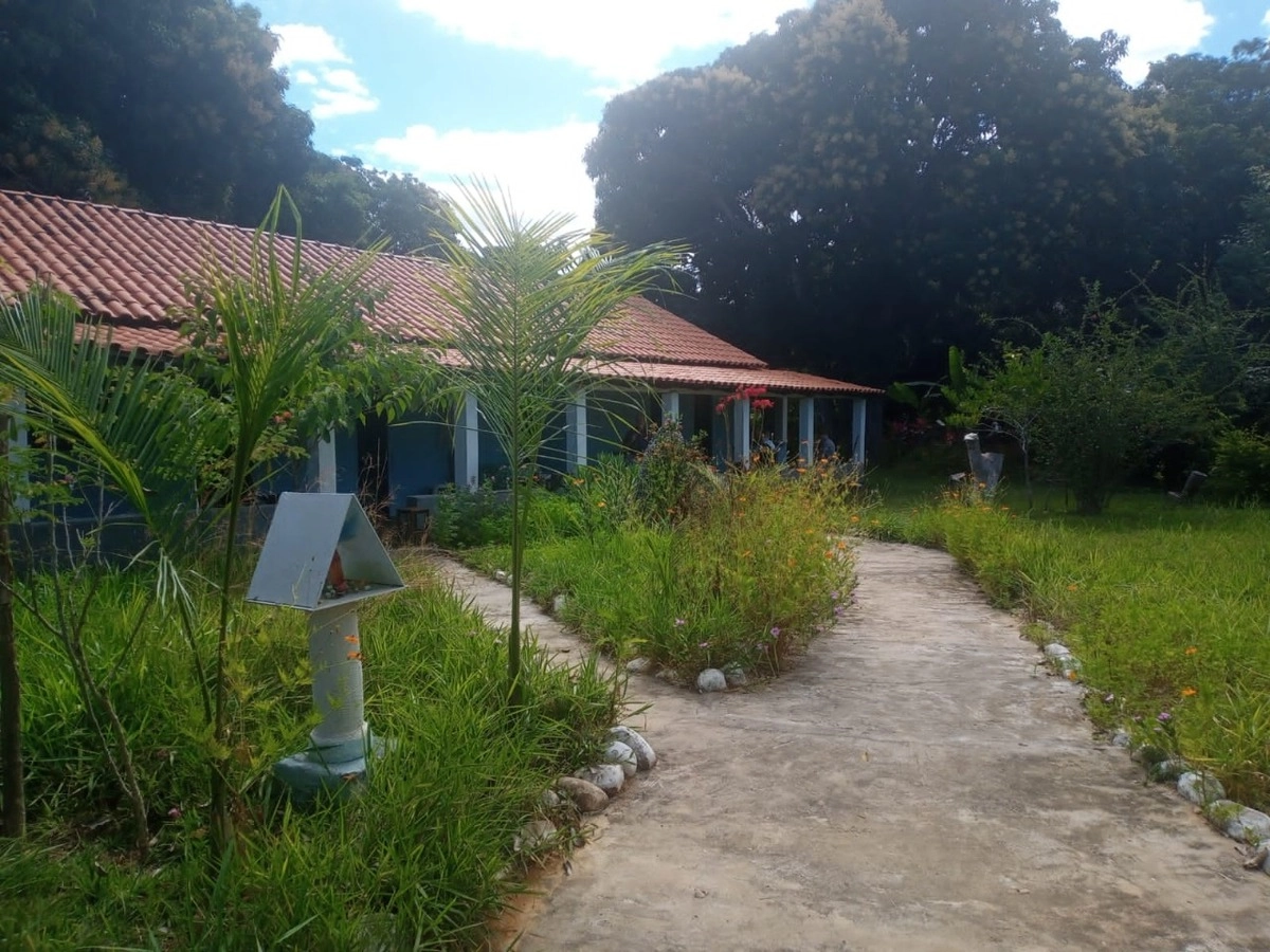 image_re_6770981.jpg