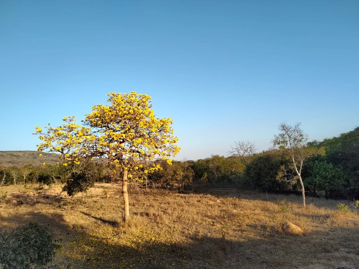 image_re_6770982.jpg
