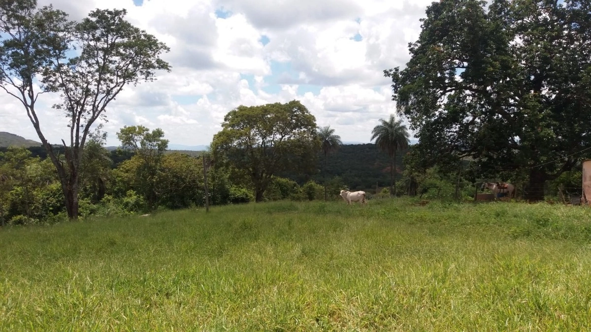 Fazenda/Sítios/Chácaras de 1920000m² no bairro Formosa, em Formosa | Eu Corretor