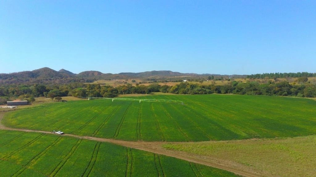 Fazenda/Sítios/Chácaras de 890000m² no bairro Unaí, em Unaí | Eu Corretor