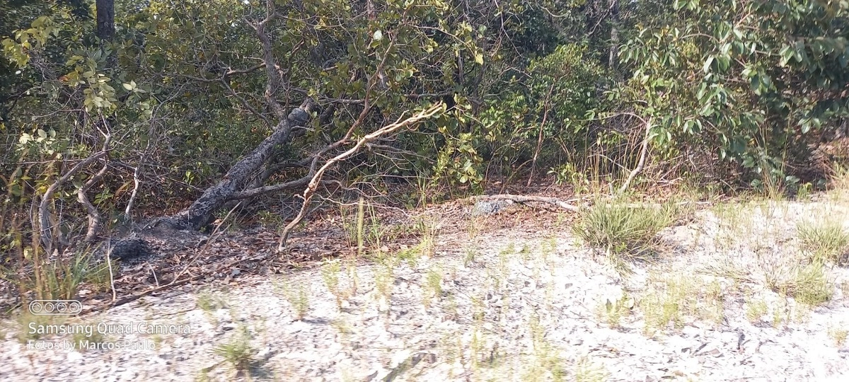 Fazenda/Sítios/Chácaras de 26860000m² no bairro Chapada Gaúcha, em Chapada Gaúcha | Eu Corretor