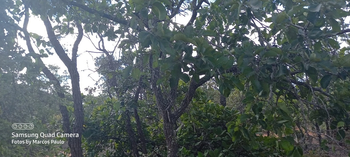 image_re_6771154.jpg