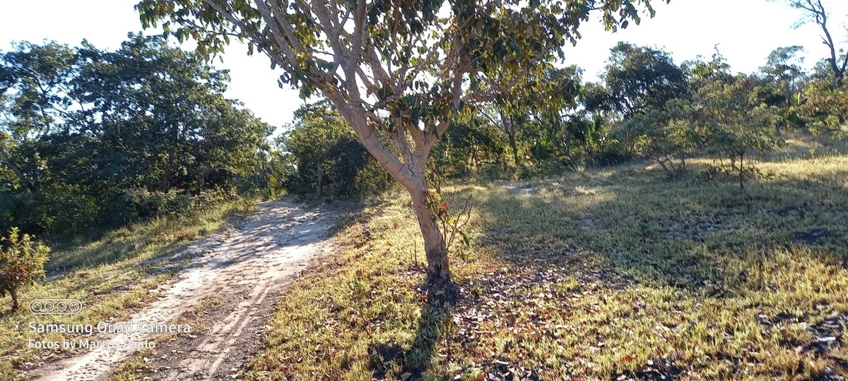 image_re_6771165.jpg
