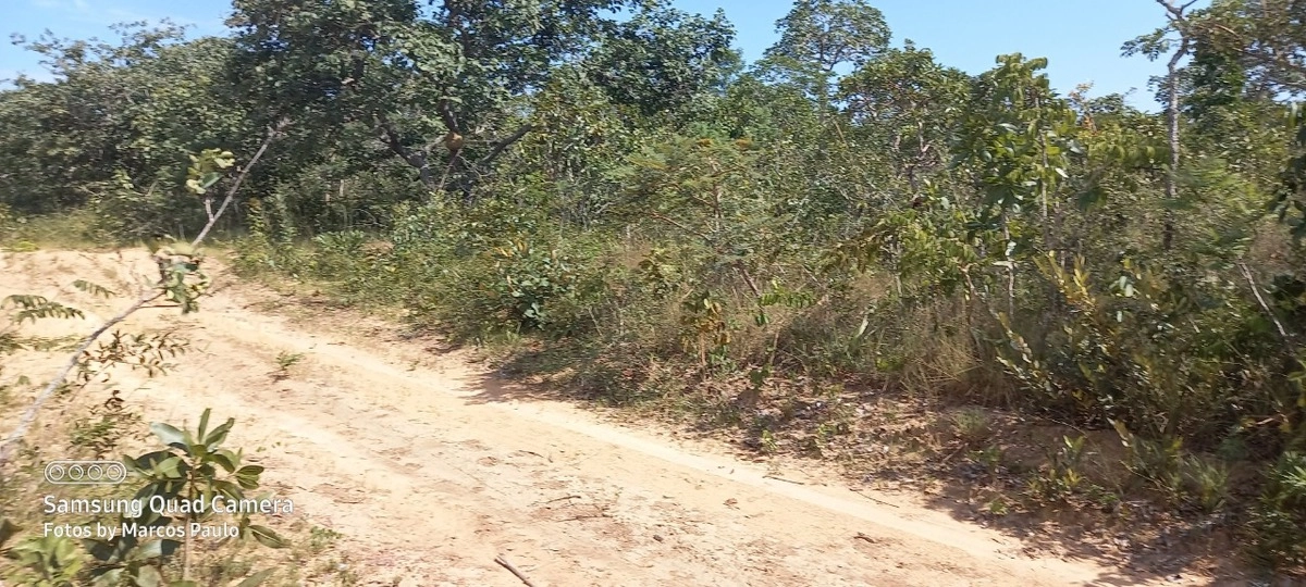 image_re_6771172.jpg
