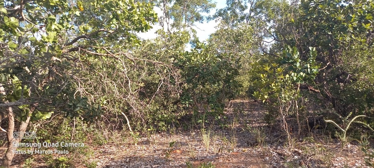 image_re_6771176.jpg