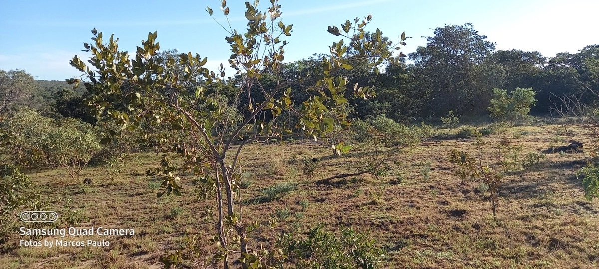 image_re_6771186.jpg