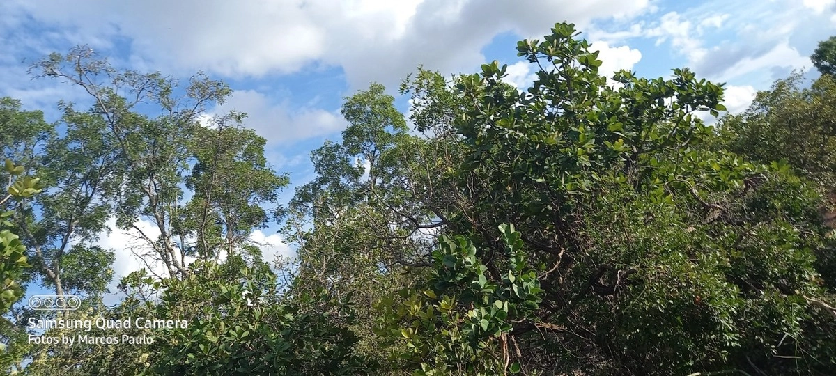 image_re_6771187.jpg