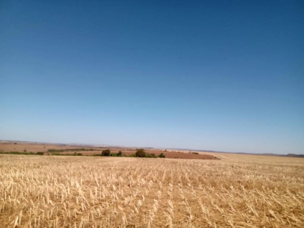 Fazenda/Sítios/Chácaras de 18630000m² no bairro Setor Central, em Catalão | Eu Corretor