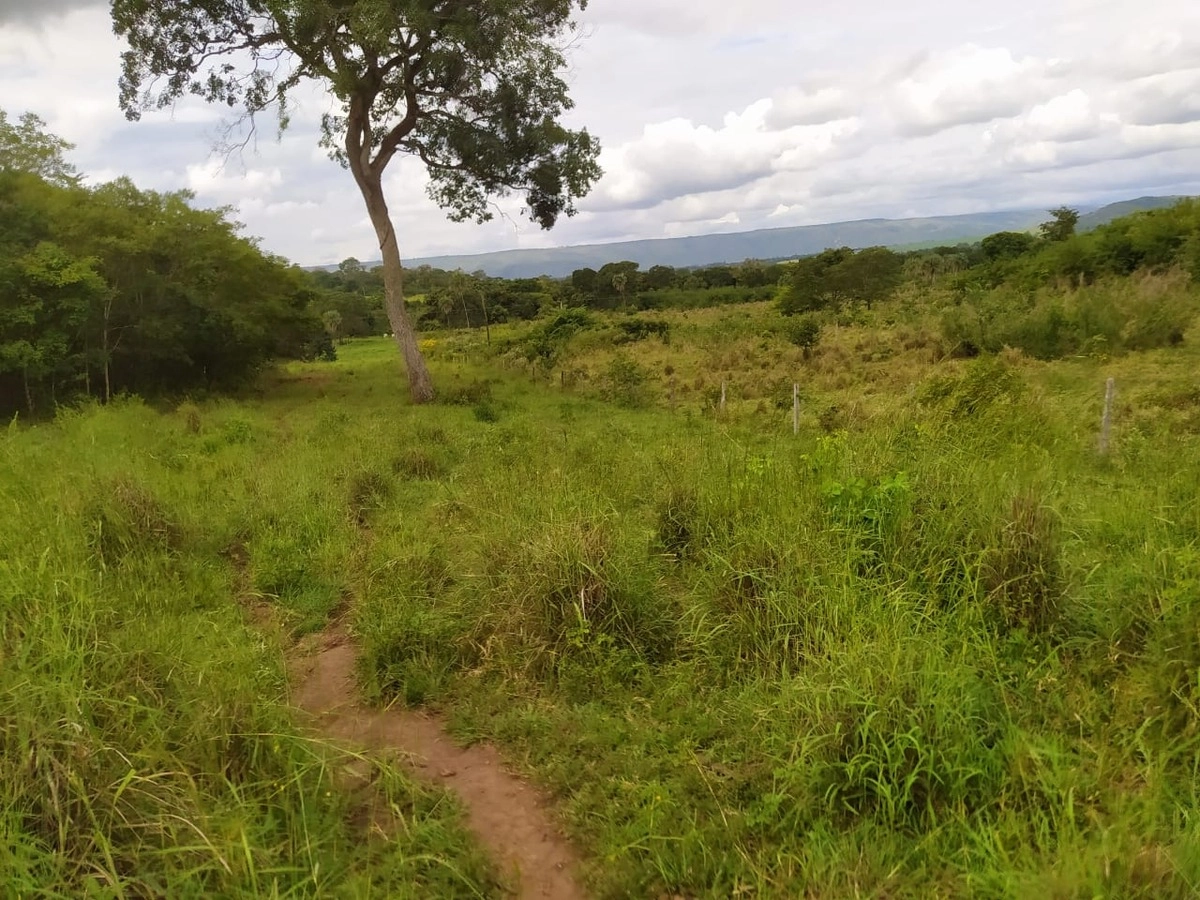 Fazenda/Sítios/Chácaras de 5808000m² no bairro Formosa, em Formosa | Eu Corretor