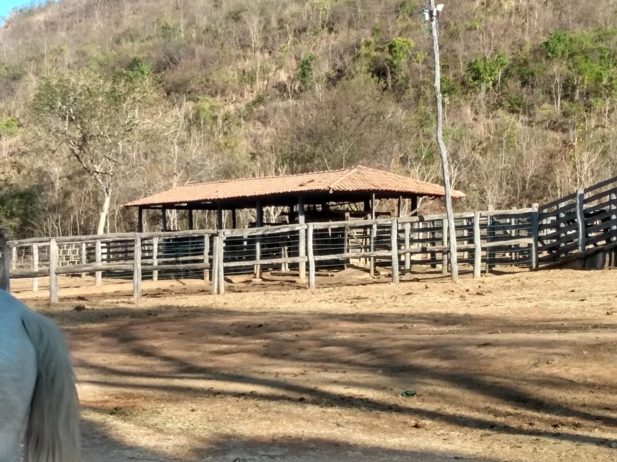 image_re_6771239.jpg