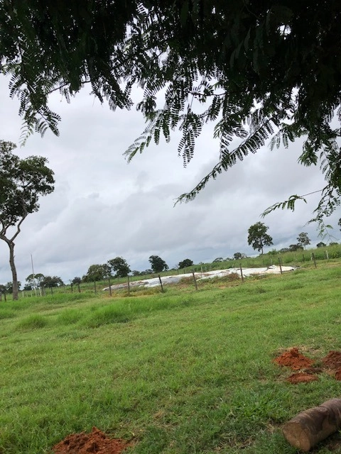 Fazenda/Sítios/Chácaras de 2260000m² no bairro Arinos, em Arinos | Eu Corretor