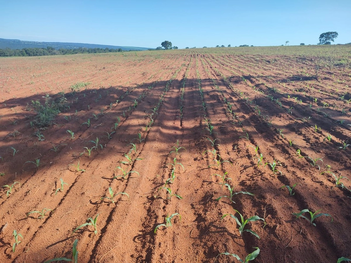 Fazenda/Sítios/Chácaras de 9200000m² no bairro Iporá, em Iporá | Eu Corretor