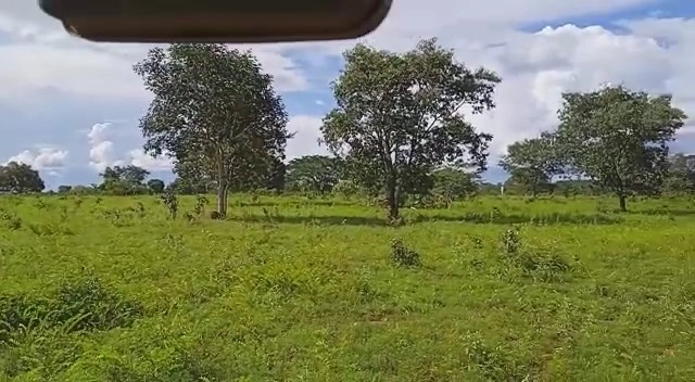Fazenda/Sítios/Chácaras de 24500000m² no bairro Mutunópolis, em Mutunópolis | Eu Corretor