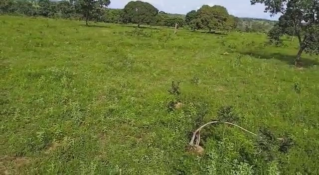 Fazenda/Sítios/Chácaras de 24500000m² no bairro Mutunópolis, em Mutunópolis | Eu Corretor