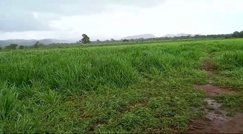 Fazenda/Sítios/Chácaras de 2380000m² no bairro Unaí, em Unaí | Eu Corretor