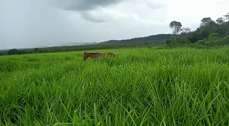 Fazenda/Sítios/Chácaras de 2380000m² no bairro Unaí, em Unaí | Eu Corretor