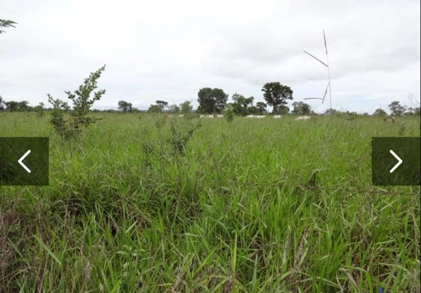Fazenda/Sítios/Chácaras de 46500000m² no bairro Arinos, em Arinos | Eu Corretor