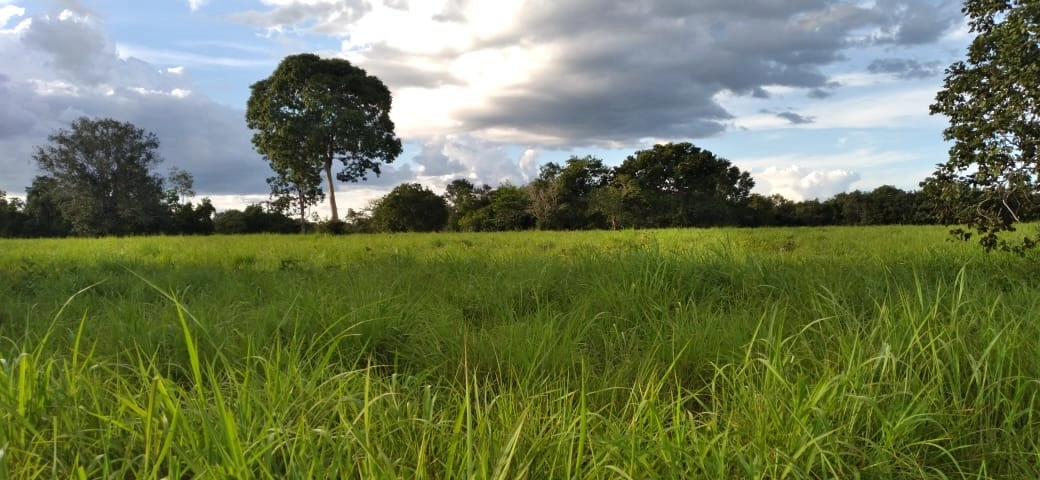 Fazenda/Sítios/Chácaras de 15190000m² no bairro Padre Bernardo, em Padre Bernardo | Eu Corretor