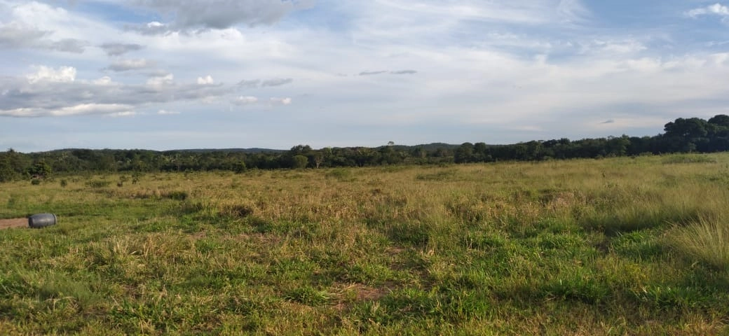 Fazenda/Sítios/Chácaras de 15190000m² no bairro Padre Bernardo, em Padre Bernardo | Eu Corretor