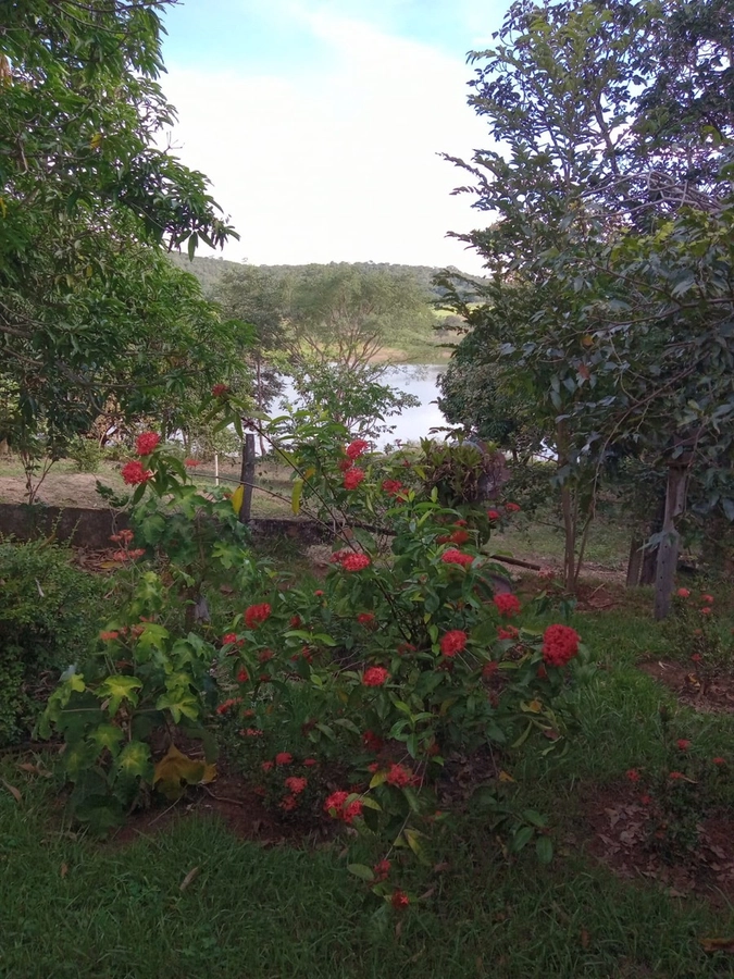 image_re_6771574.jpg