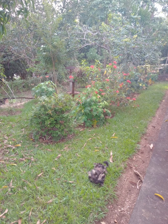 image_re_6771576.jpg