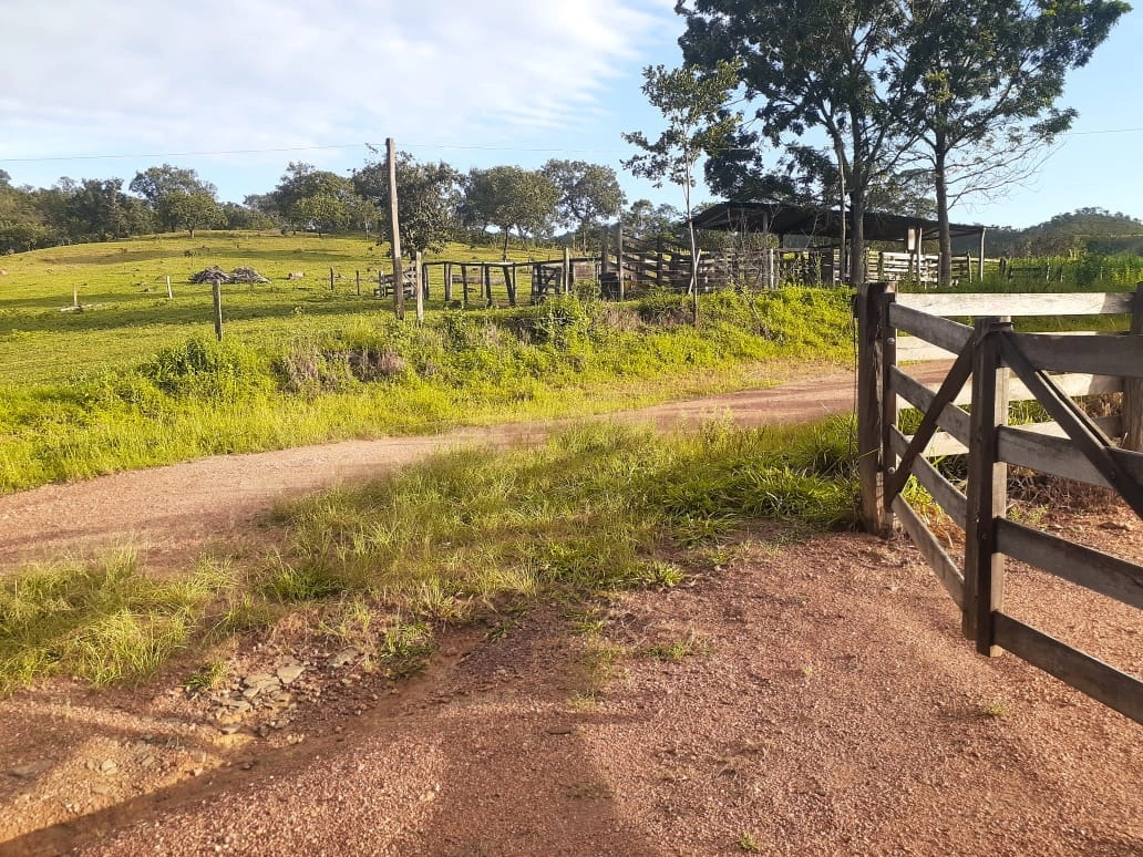 Fazenda/Sítios/Chácaras de 2710000m² no bairro Padre Bernardo, em Padre Bernardo | Eu Corretor