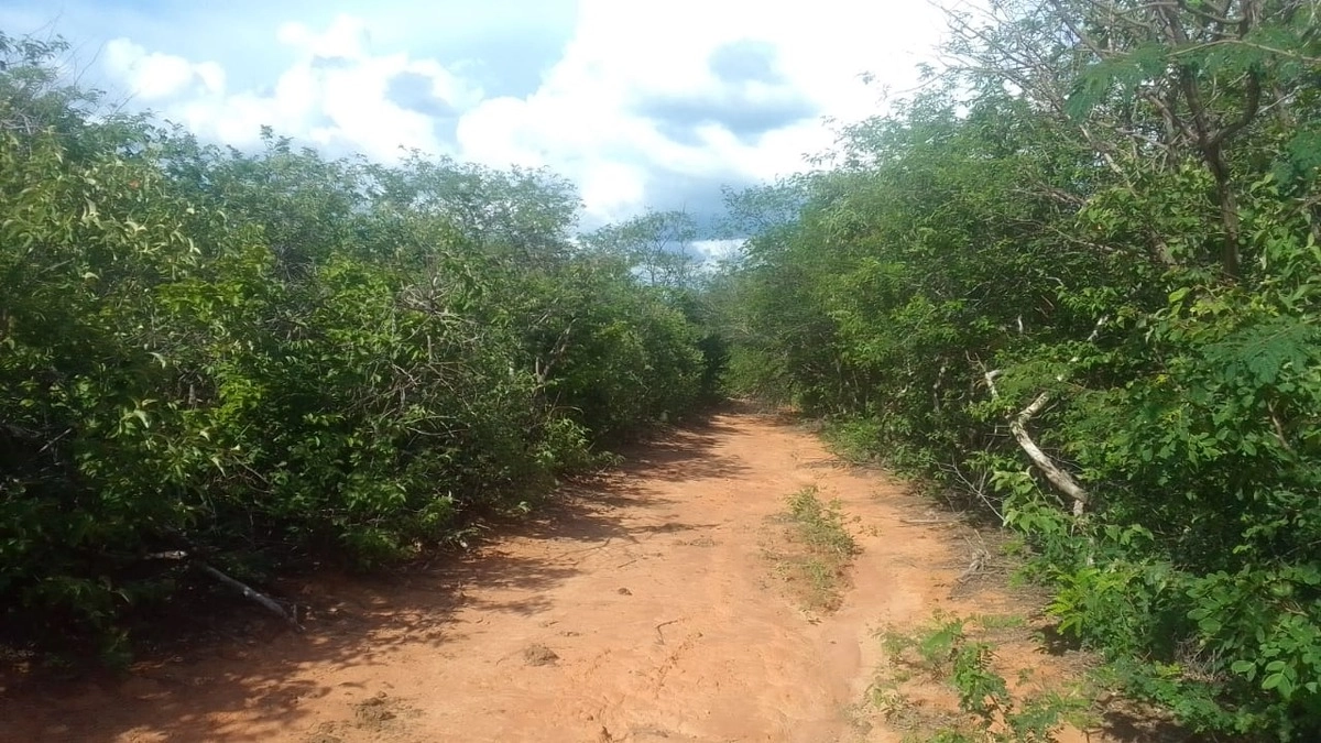 Fazenda/Sítios/Chácaras | Eu Corretor