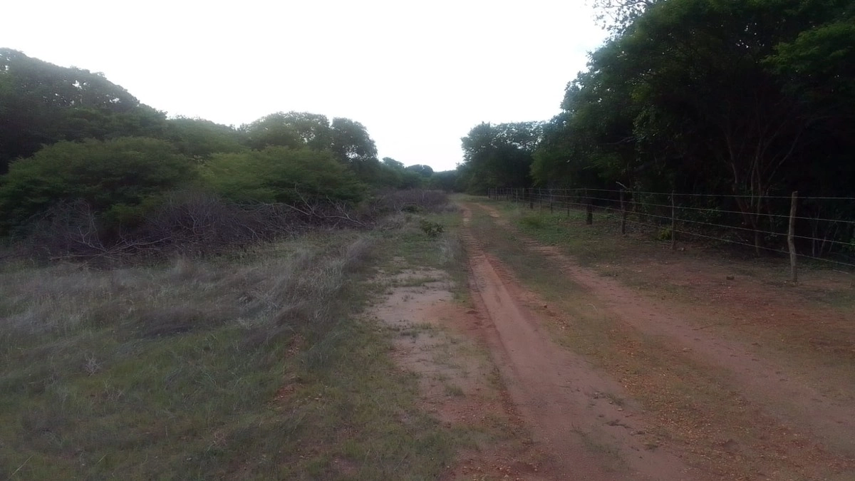 Fazenda/Sítios/Chácaras | Eu Corretor