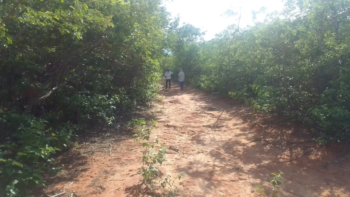 Fazenda/Sítios/Chácaras | Eu Corretor