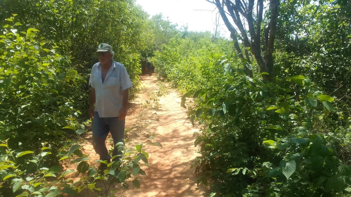 Fazenda/Sítios/Chácaras | Eu Corretor