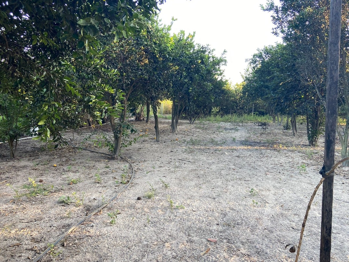Fazenda/Sítios/Chácaras de 10160000m² no bairro Chapada Gaúcha, em Chapada Gaúcha | Eu Corretor