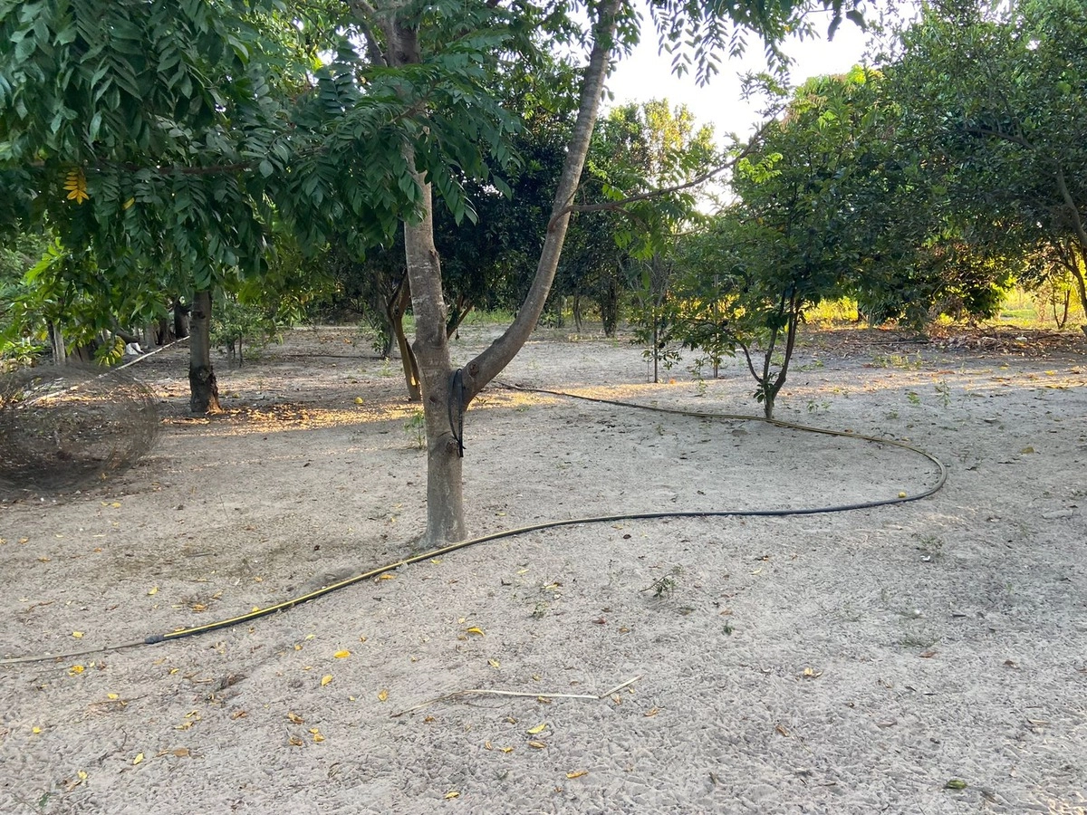 Fazenda/Sítios/Chácaras de 10160000m² no bairro Chapada Gaúcha, em Chapada Gaúcha | Eu Corretor