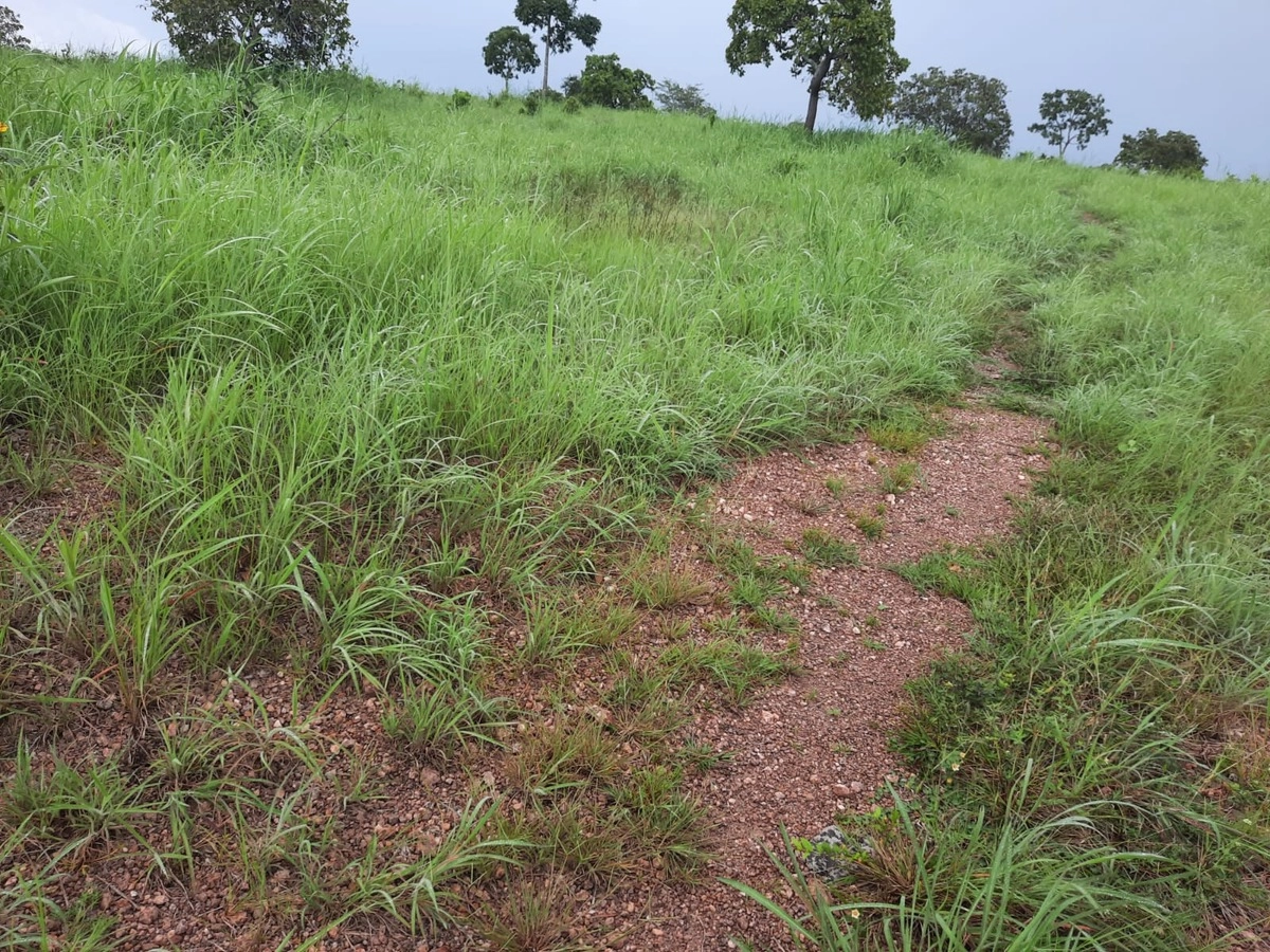 Fazenda/Sítios/Chácaras de 13060000m² no bairro Dueré, em Dueré | Eu Corretor