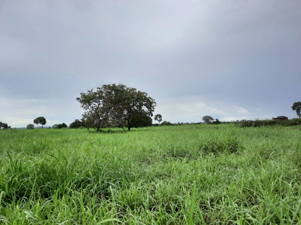 Fazenda/Sítios/Chácaras de 13060000m² no bairro Dueré, em Dueré | Eu Corretor