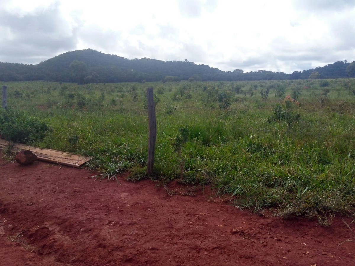 Fazenda/Sítios/Chácaras de 40070000m² no bairro Santana, em Paracatu | Eu Corretor