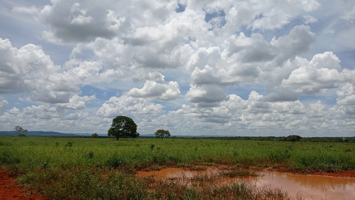 image_re_6771803.jpg
