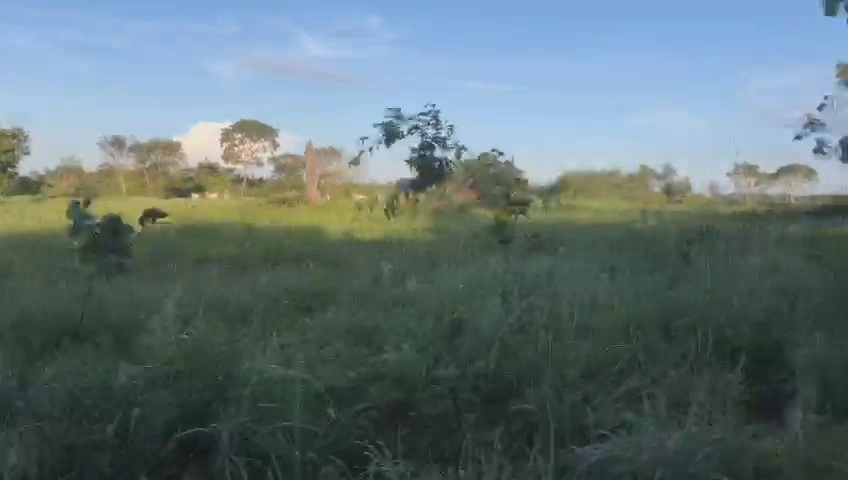 Fazenda/Sítios/Chácaras no bairro Mara Rosa, em Mara Rosa | Eu Corretor