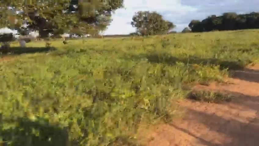 Fazenda/Sítios/Chácaras no bairro Mara Rosa, em Mara Rosa | Eu Corretor
