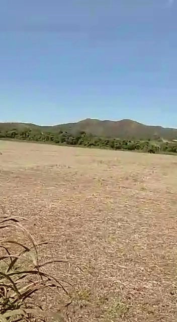 Fazenda/Sítios/Chácaras de 11370000m² no bairro Vila Propício, em Vila Propício | Eu Corretor