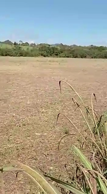Fazenda/Sítios/Chácaras de 11370000m² no bairro Vila Propício, em Vila Propício | Eu Corretor