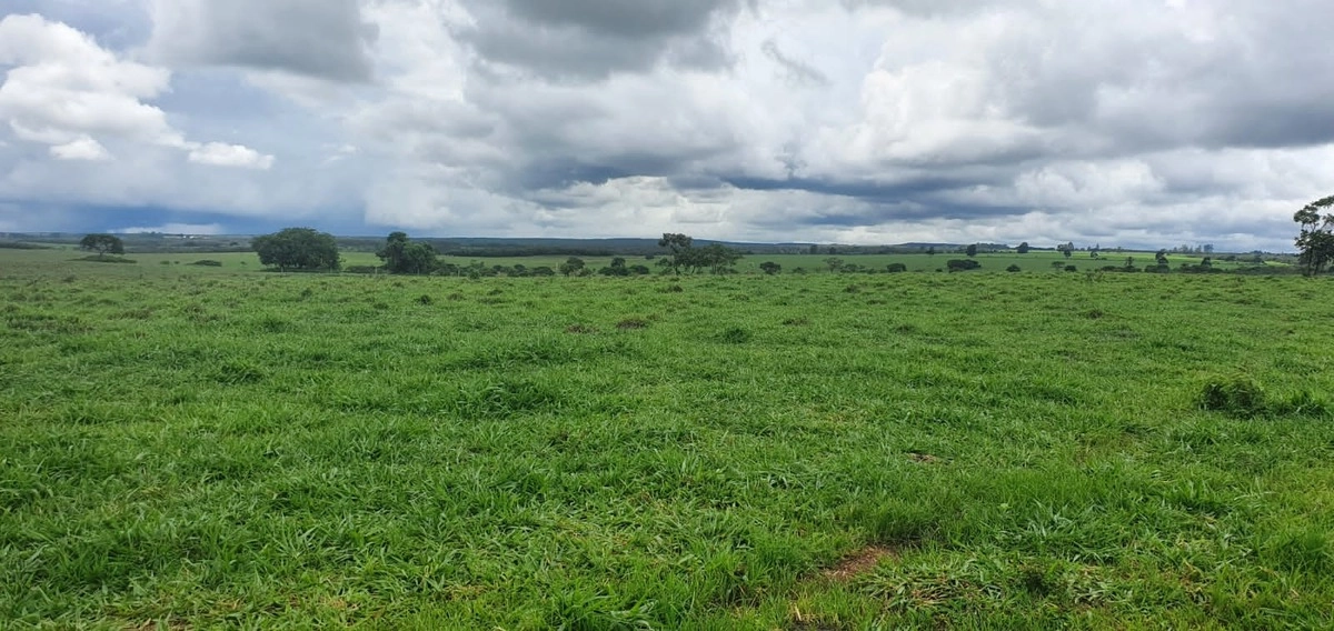 Fazenda/Sítios/Chácaras de 3970000m² no bairro Centro, em Cristalina | Eu Corretor