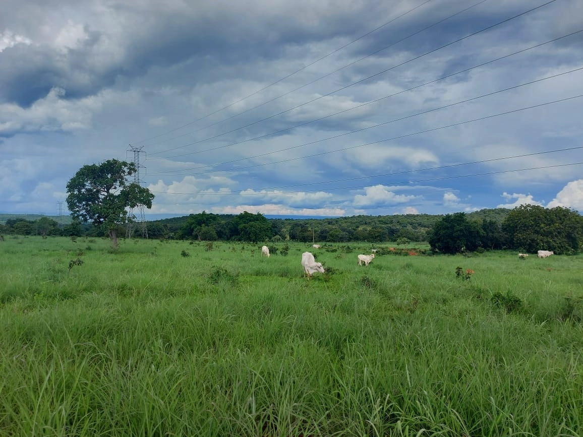 Fazenda/Sítios/Chácaras de 2202200m² no bairro Minaçu, em Minaçu | Eu Corretor