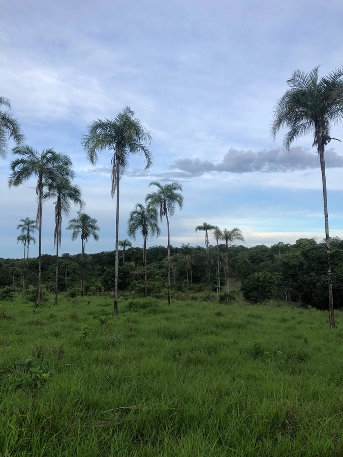 Fazenda/Sítios/Chácaras de 2202200m² no bairro Minaçu, em Minaçu | Eu Corretor