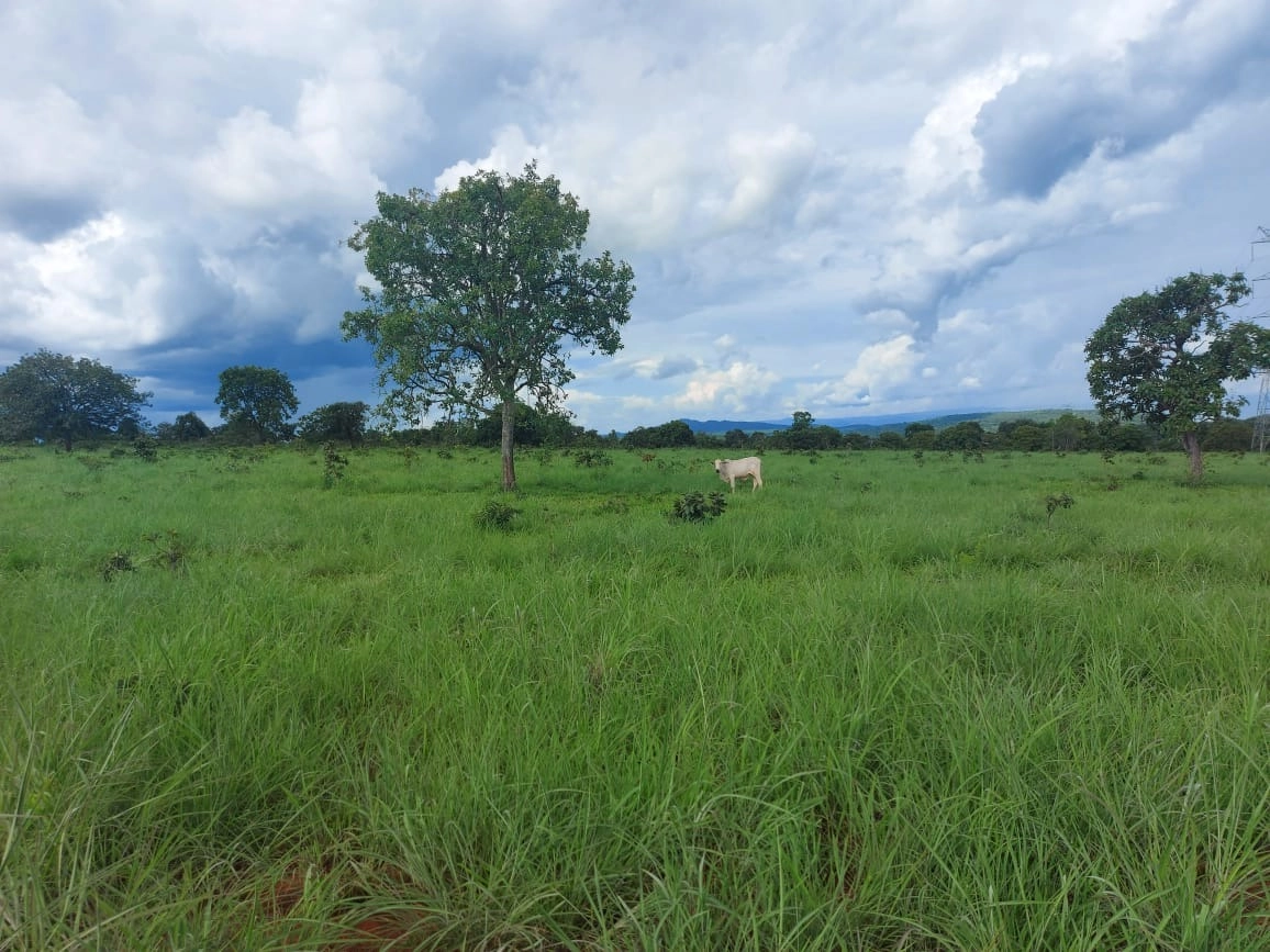 Fazenda/Sítios/Chácaras de 2202200m² no bairro Minaçu, em Minaçu | Eu Corretor