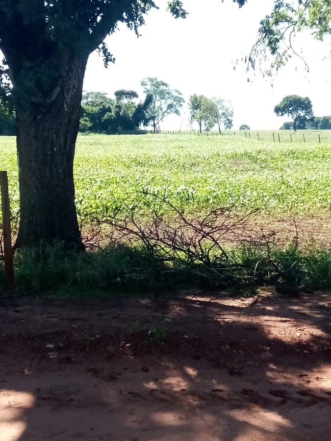 Fazenda/Sítios/Chácaras de 5230000m² no bairro Capinópolis, em Capinópolis | Eu Corretor