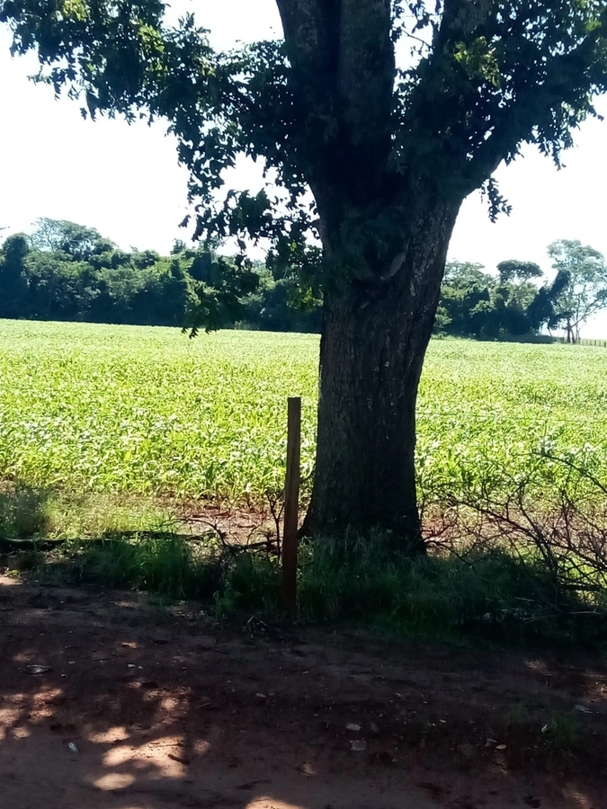 image_re_6772085.jpg