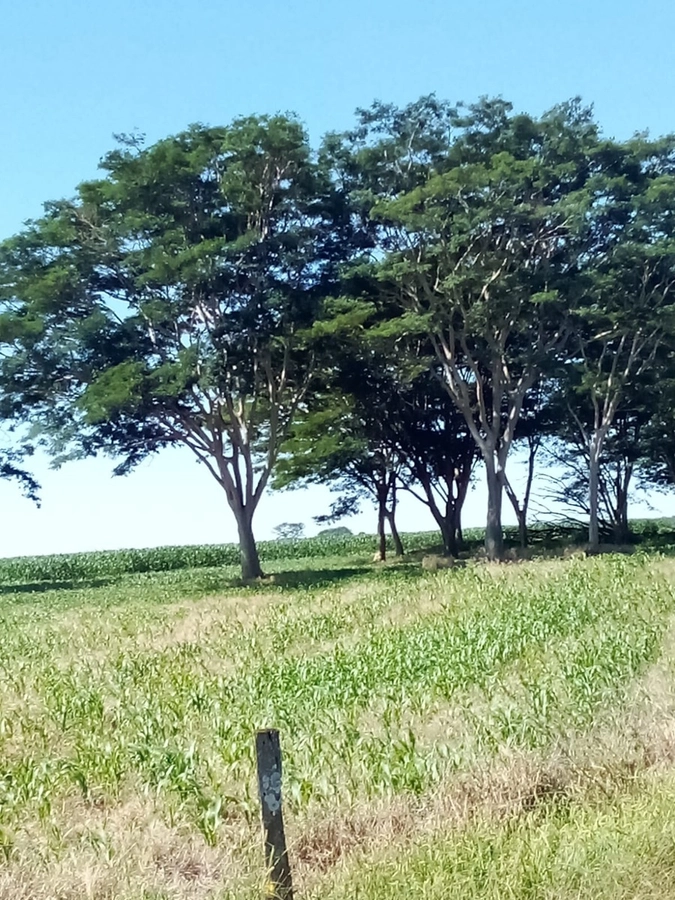image_re_6772092.jpg